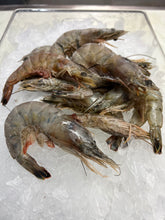 Load image into Gallery viewer, White Shrimp, Head-On 21/25 count (1lb)