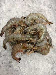 White Shrimp, Head-on 13/15 count (1lb)