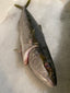 California Skipjack 16 Ounce Fillets