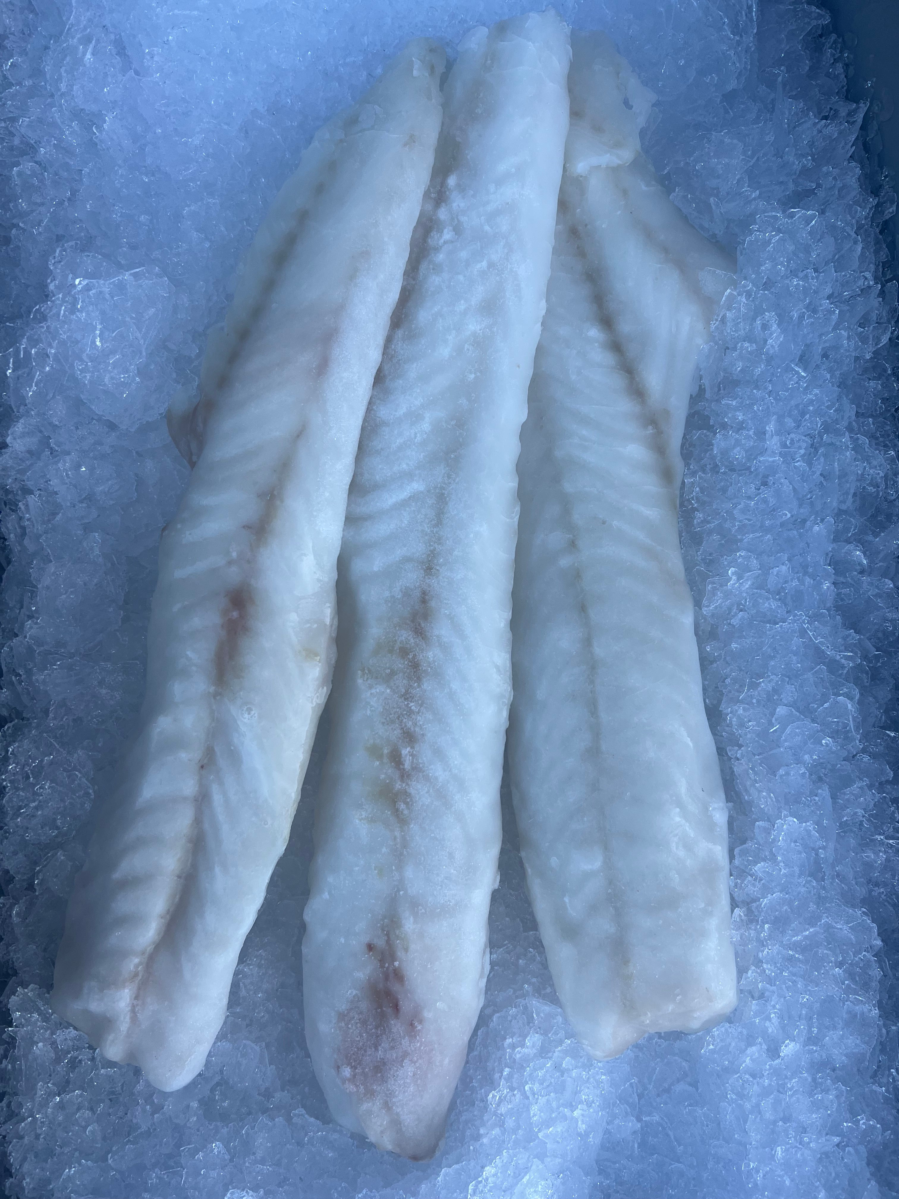 Alaskan True Cod Fillet – TwoXSea