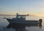 California Lingcod Fillet