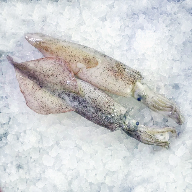 Monterey Squid - (Individually Quick Frozen) 1 pound per order